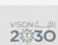 Saudi Vision 2030